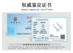 Bông tai Cao Cấp Thương Hiệu ESME ES321AS-D621