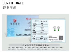 Bông tai ESME Cao Cấp Thương Hiệu ES322AS-D701