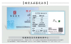 Bông tai Cao Cấp Thương Hiệu ESME ES324AS-D285