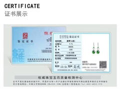 Bông tai Cao Cấp Thương Hiệu ESME ES325AS-D653