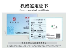 Bông tai Cao Cấp Thương Hiệu ESME ES326AS-D736