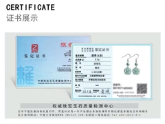 Bông tai Cao Cấp Thương Hiệu ESME ES327AS-D580