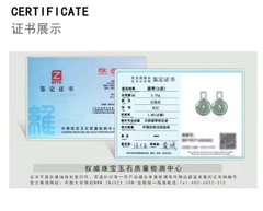 Bông tai Cao Cấp Thương Hiệu ESME ES329AS-D905