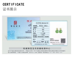 Bông tai ESME ES345AS-D435