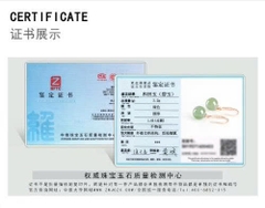 Bông tai ESME ES348AS-D468