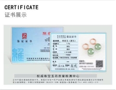 Bông tai ESME ES350AS-D476