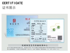 Bông tai ESME ES355AS-D855