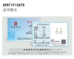 Bông tai ESME ES359AS-D913  Kiểu Dáng Độc Đáo