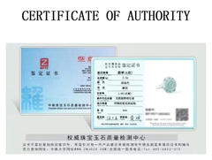 Nhẫn Cao Cấp ESME ES382AS-D332