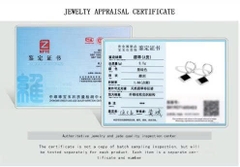 Bông tai ESME ES386AS-D192