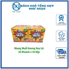 LỐC - Nhang Muỗi Jumbo Vape Hộp 10 Khoanh - Bách Hóa Tổng Hợp Như Ngọc