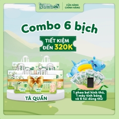 COMBO 6 BỈM QUẦN NANO BAMBOO M
