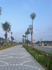 DỰ ÁN TNR BẢO THẮNG - LÀO CAI (CƯỜNG THỊNH)