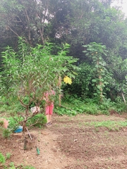 BÁN NHÀ ĐƯỜNG NHẠC SƠN - KIM TÂN