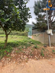 BÁN ĐẤT TỔ 11 - P.NAM CƯỜNG.