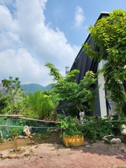 BÁN ĐẤT ĐƯỜNG NGUYỄN HỮU AN - P. BÌNH MINH