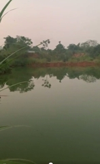 BÁN TRANG TRẠI NHÀ VƯỜN THÔN CHÍNH TIẾN - GIA PHÚ - BẢO THẮNG