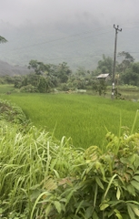 TRANG TRẠI BẢN CẦM LÀO CAI