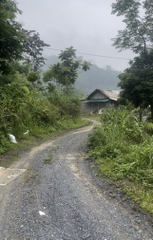 TRANG TRẠI BẢN CẦM LÀO CAI