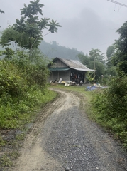 TRANG TRẠI BẢN CẦM LÀO CAI