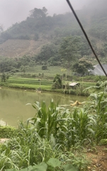 TRANG TRẠI BẢN CẦM LÀO CAI