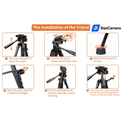 Tripod máy ảnh phát sóng trực tiếp đa chức năng UUrig TP - 11 A0066