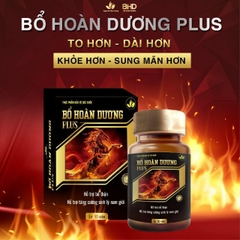 Bổ Hoàn Dương Plus