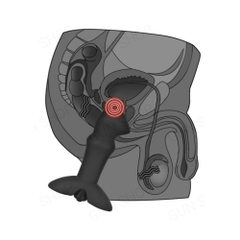 Que rung kích thích hậu môn 10 chế độ rung, dùng pin - Lovetoy Prostate Stud