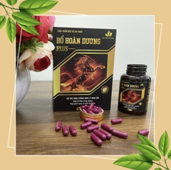 Bổ Hoàn Dương Plus