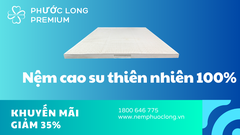 5 Tiêu Chí Chọn Nệm Cao Su Đúng Đắn: Hành Trình Tìm Kiếm Giấc Ngủ Hoàn Hảo