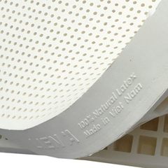 NỆM CAO SU THIÊN NHIÊN CLASSIC LIÊN Á