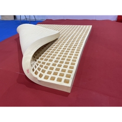 Nệm Cao Su Thiên Nhiên 100% LATEX FOAM