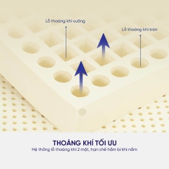 NỆM CAO SU THIÊN NHIÊN CLASSIC LIÊN Á