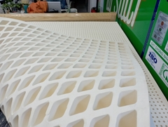 NỆM CAO SU THIÊN NHIÊN 100% LABI Premium - EVH