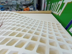 NỆM CAO SU THIÊN NHIÊN 100% LABI Premium - EVH