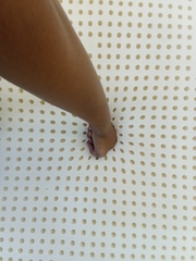 NỆM CAO SU THIÊN NHIÊN 100% LABI Premium - EVH