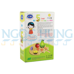 Bộ 5 loại trái cây