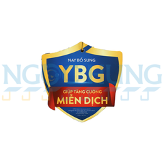 Ensure gold YBG mới 800g