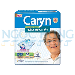 Caryn tấm lót 10 miếng