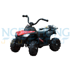 Xe mô tô điện 4 bánh địa hình BJQ-V8