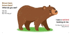 Brown bear