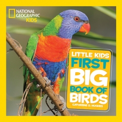 First big books (2 set lẻ)