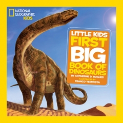 First big books (2 set lẻ)