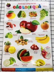 Tranh treo tường cho bé - 6 tờ 14 chủ đề