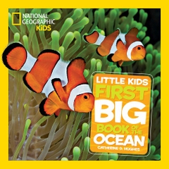 First big books (2 set lẻ)