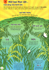 100 Bí Ẩn Đáng Kinh Ngạc Về Thức Ăn - 100 Things To Know About Food