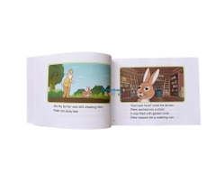 LITTLE FOX - Level 2- Peter rabbit