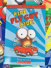 Fly guy