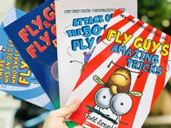 Fly guy