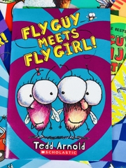 Fly guy